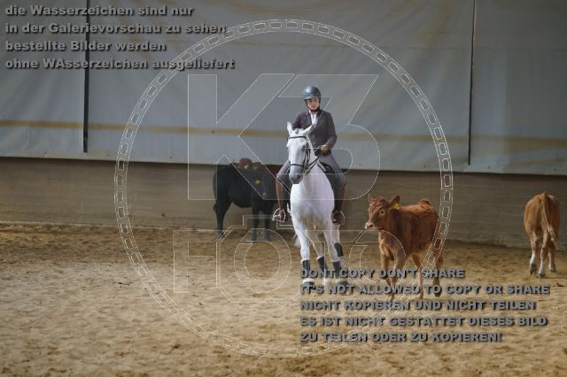 s_K3F02336.JPG